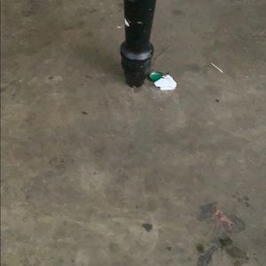 Meet your Posher, Carlisa